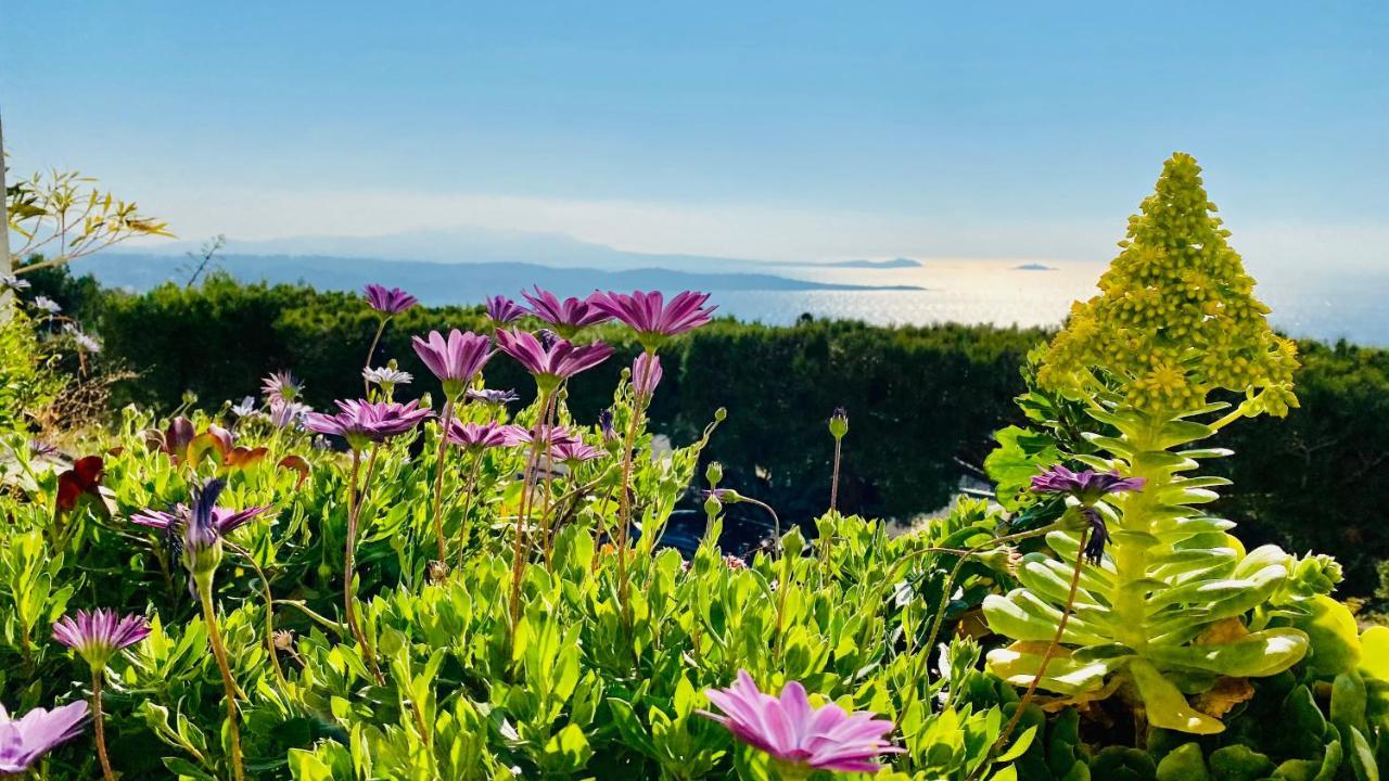 Vue Mer Panoramique Et Piscine Бандол Екстериор снимка